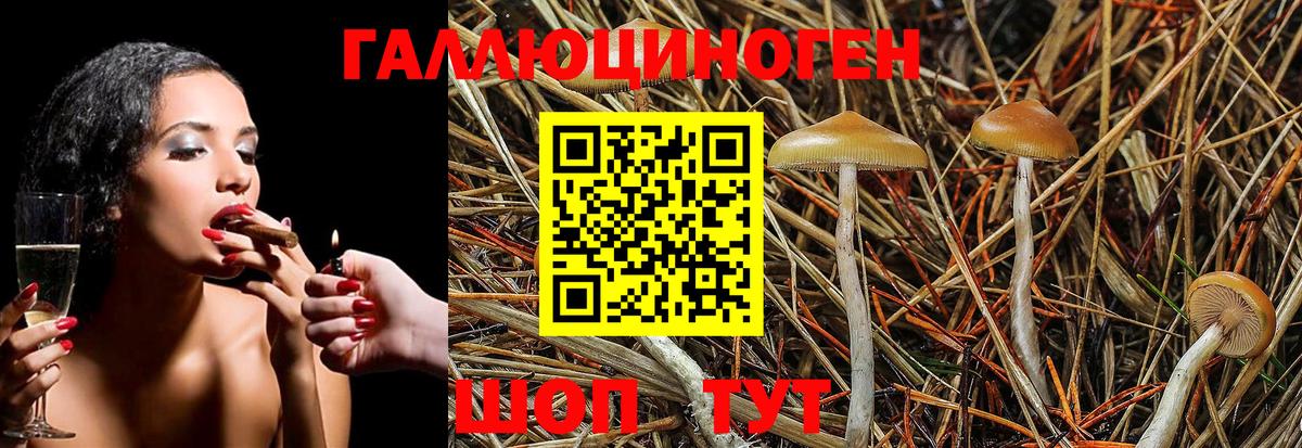 Псилоцибиновые грибы Psilocybe  Вход с VPN  Карпинск 